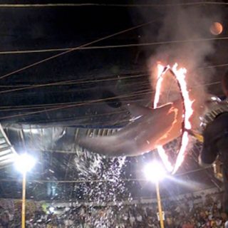Traveling circus, Bali, Indonesia.