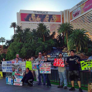 Anti-captivity protest at The Mirage, Las Vegas