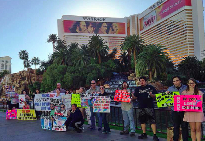 Anti-captivity protest at The Mirage, Las Vegas