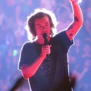 Harry Styles wearing the Dolphin Project Crew Shirt