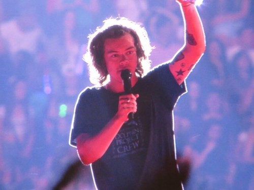 Harry Styles wearing the Dolphin Project Crew Shirt