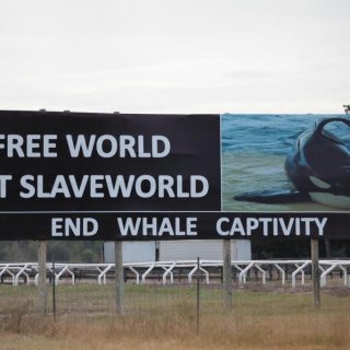 Free World not SeaWorld!