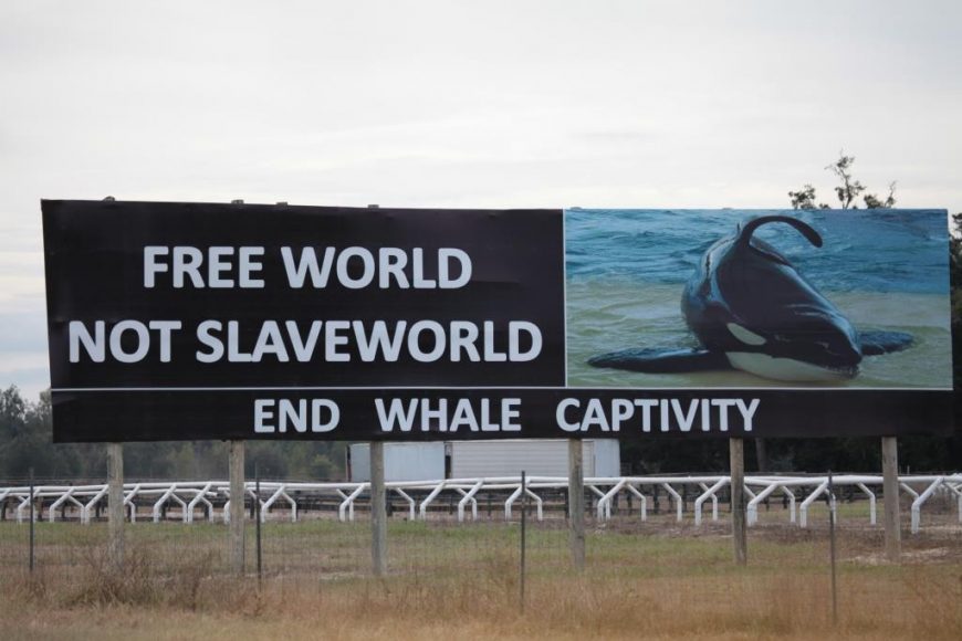Free World not SeaWorld!