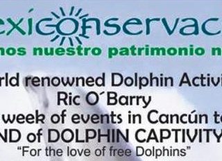 Cancun Opposes Captive Dolphin Shows