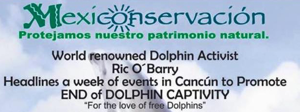Cancun Opposes Captive Dolphin Shows