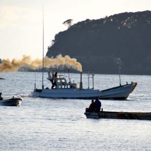Banger Boat Black smoke puffs out of a banger boat chasing dolphins.
Photo: DolphinProject.net