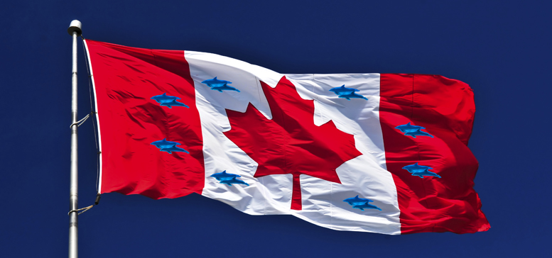 Oh Yes Canada