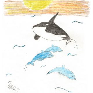 Wild dolphins - Chiara
