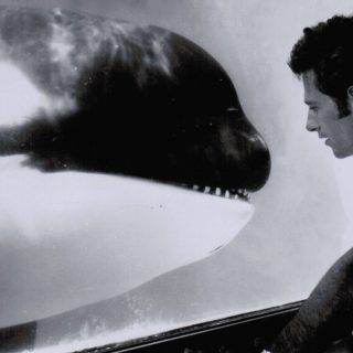 Ric O'Barry with Hugo, Miami Seaquarium