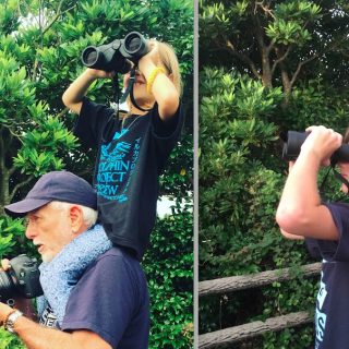 mini cove monitors report from Taiji