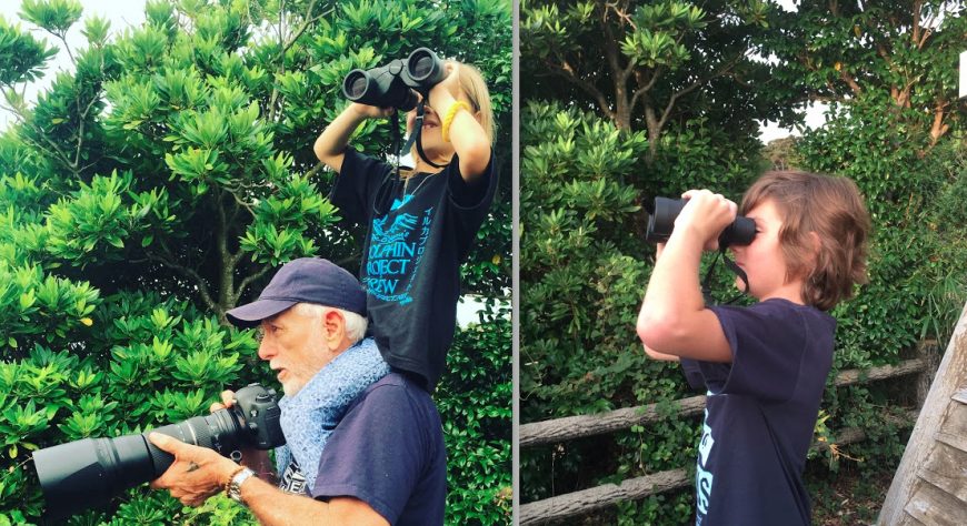 mini cove monitors report from Taiji