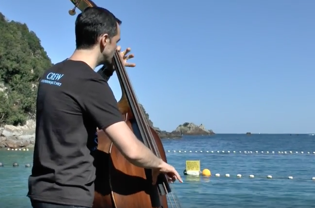 Double bassist Paul Dwyer plays at The Cove, Taiji, Japan