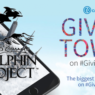 Dolphin Project #GivingTuesday Challenge