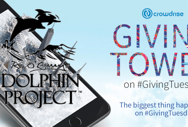 Dolphin Project #GivingTuesday Challenge