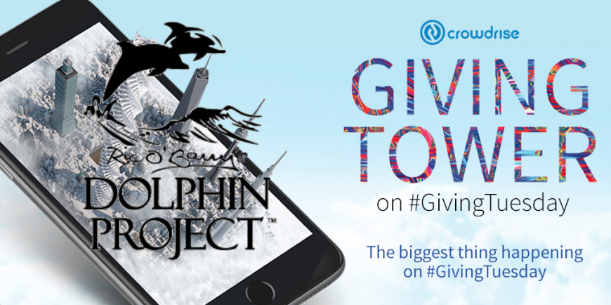 Dolphin Project #GivingTuesday Challenge