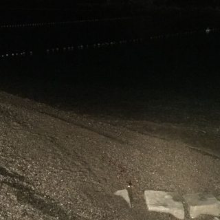 Silent night