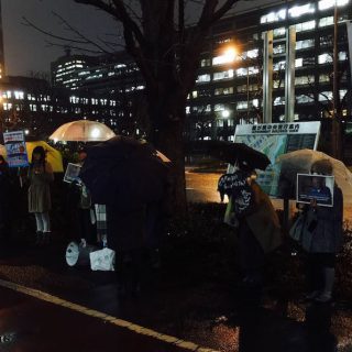 Tokyo demo to end dolphin killings and captivity