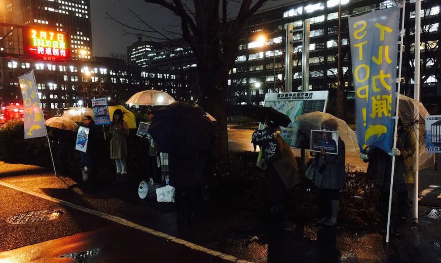 Tokyo demo to end dolphin killings and captivity