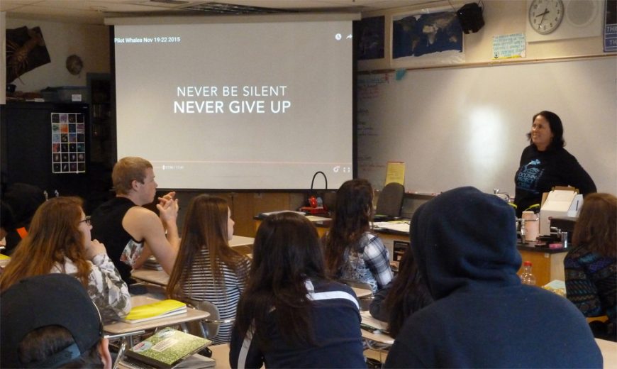 Never Be Silent, Never Give Up, Taji, Japan, The Cove, Cove Monitors, Dolphin Hunting, Kids, Education, SeaWorld, Don't Buy A Ticket