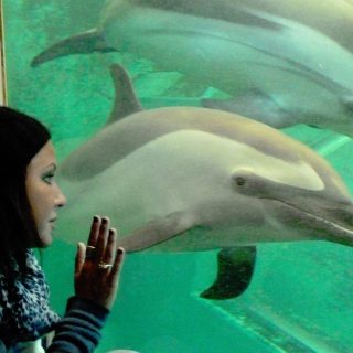 Vicki Kiely, Taiji Whale Museum