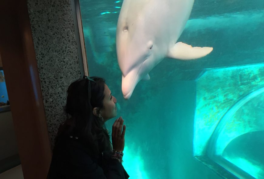 Karla Sanjur and Angel, Taiji Whale Museum
