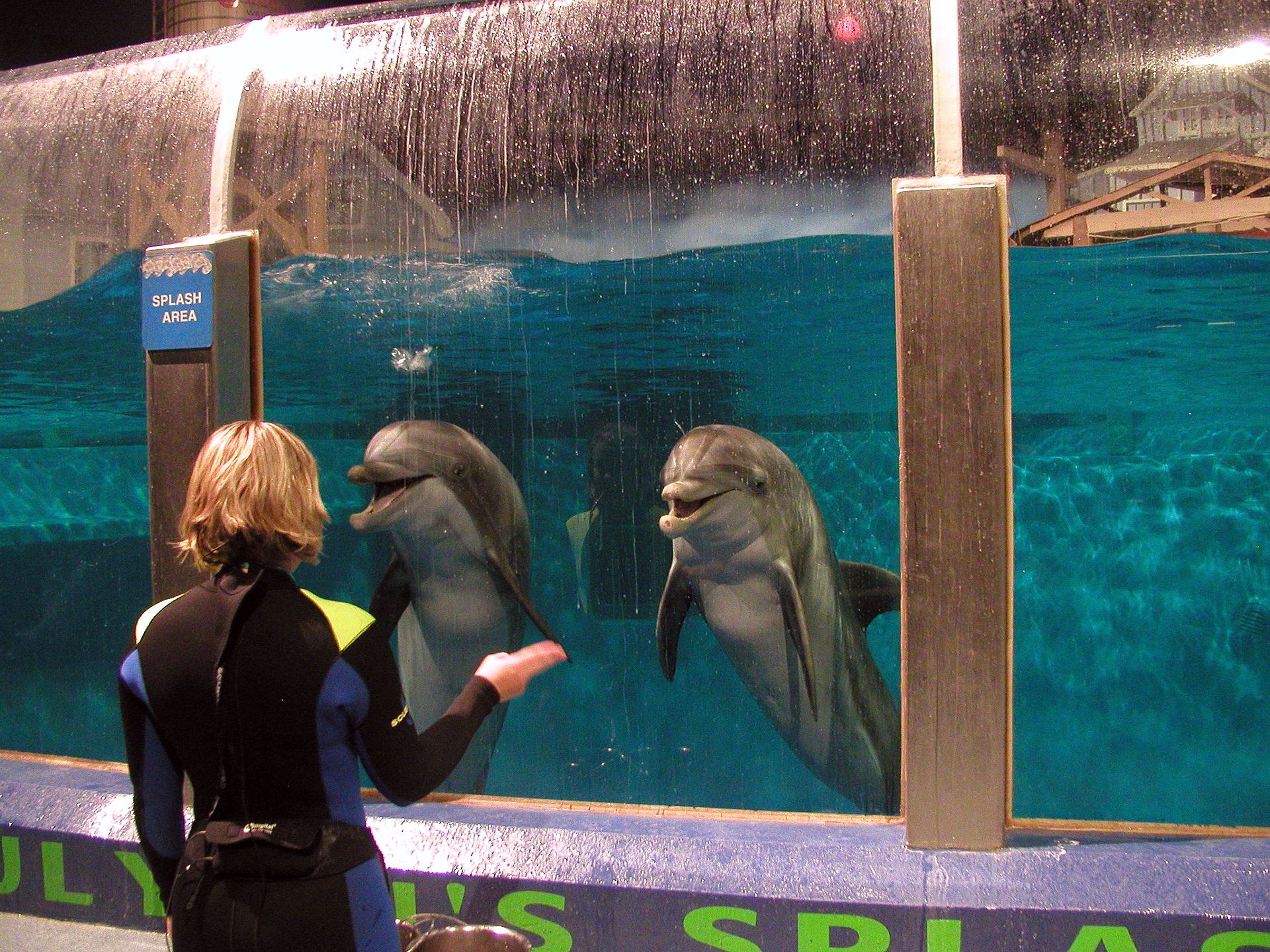St. Vincent Dolphin Pavilion