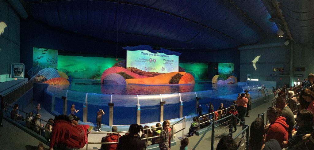 St. Vincent Dolphin Pavilion