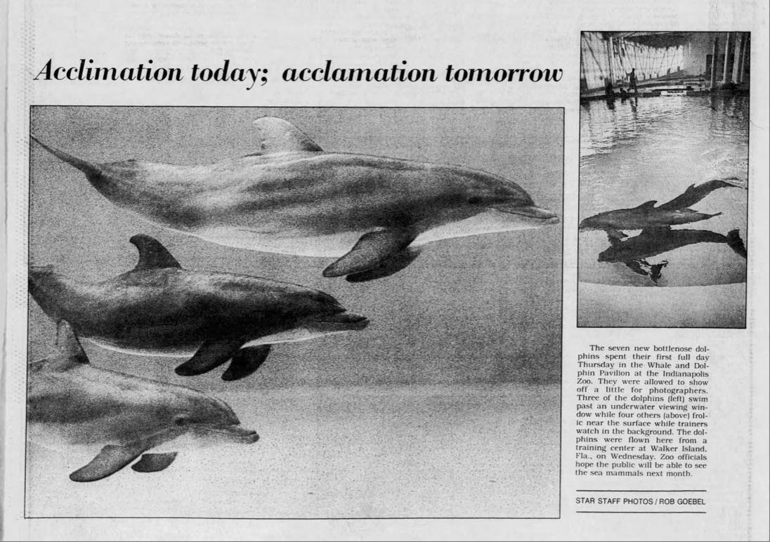 St. Vincent Dolphin Pavilion