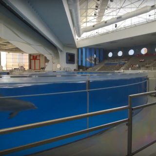 Baltimore National Aquarium