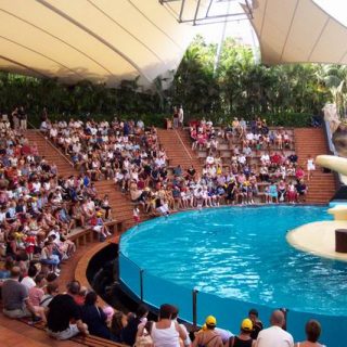 Loro Parque, Tenerife