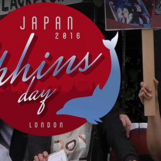Japan Dolphins Day, London, September 1