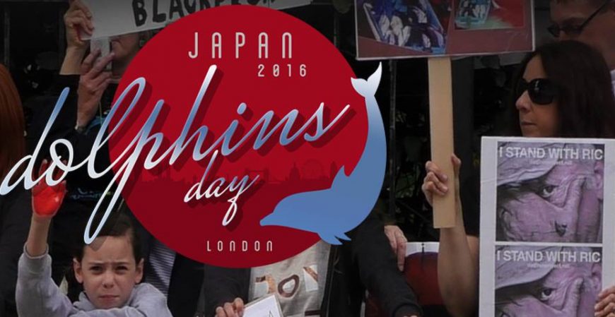 Japan Dolphins Day, London, September 1