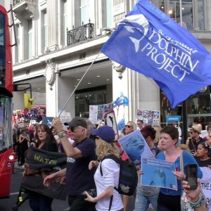 #JDD2016 London
