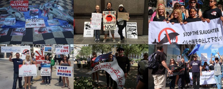 Japan Dolphins Day 2016