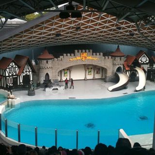 Marineland Niagara Falls, Canada