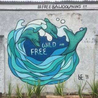 #FreeBaliDolphins Mural
