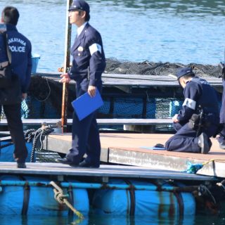 Taiji, Japan, Dolphin Base, The Cove, Dolphin Project Cove Monitors, Dolphin Hunting, Dolphin Slaughter, Captivity