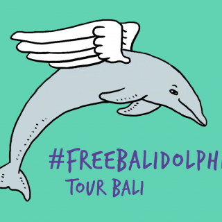 #FreeBaliDolphins Tour Bali