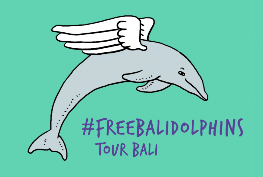 #FreeBaliDolphins Tour Bali