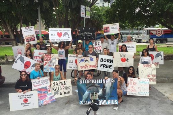 Japan Dolphins Day Miami, Taiji, Japan, The Cove