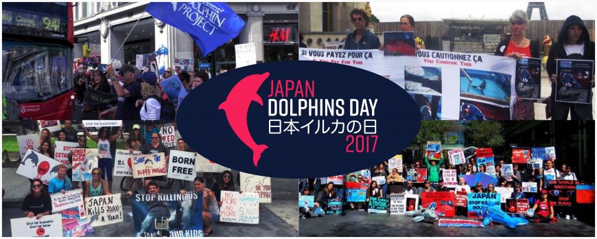 Japan Dolphins Day 2017 Taiji Dolphin Project