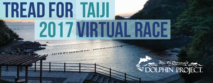 Dolphin Project Virtual Race 2017 Taiji