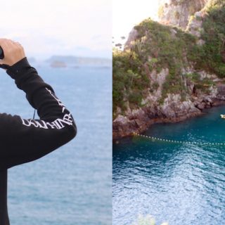 Dolphin Project Returns to Taiji