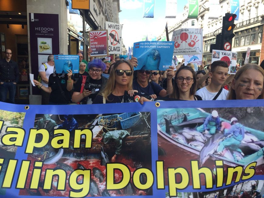 Japan Dolphins Day 2017, London.
