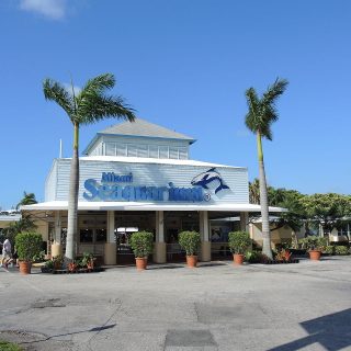 Miami Seaquarium