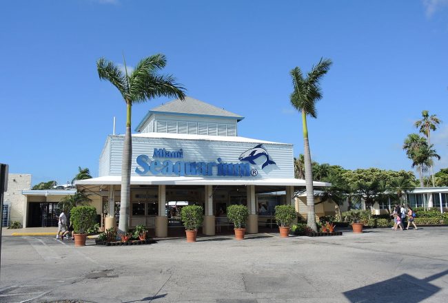 Miami Seaquarium