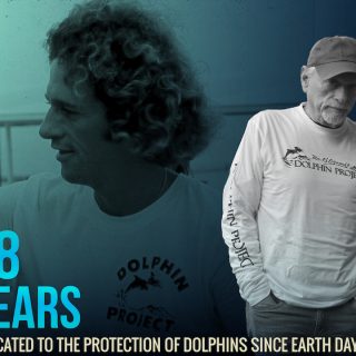 Happy 48th Birthday Dolphin Project