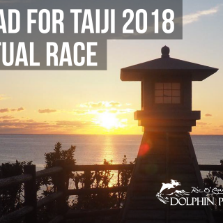 Tread for Taiji 2018 Dolphin Project Virtual Race Fundraiser