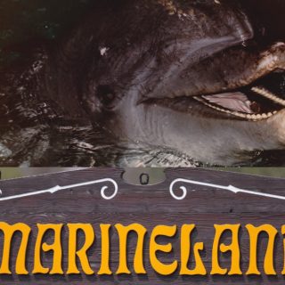 Duke; Marineland Canada