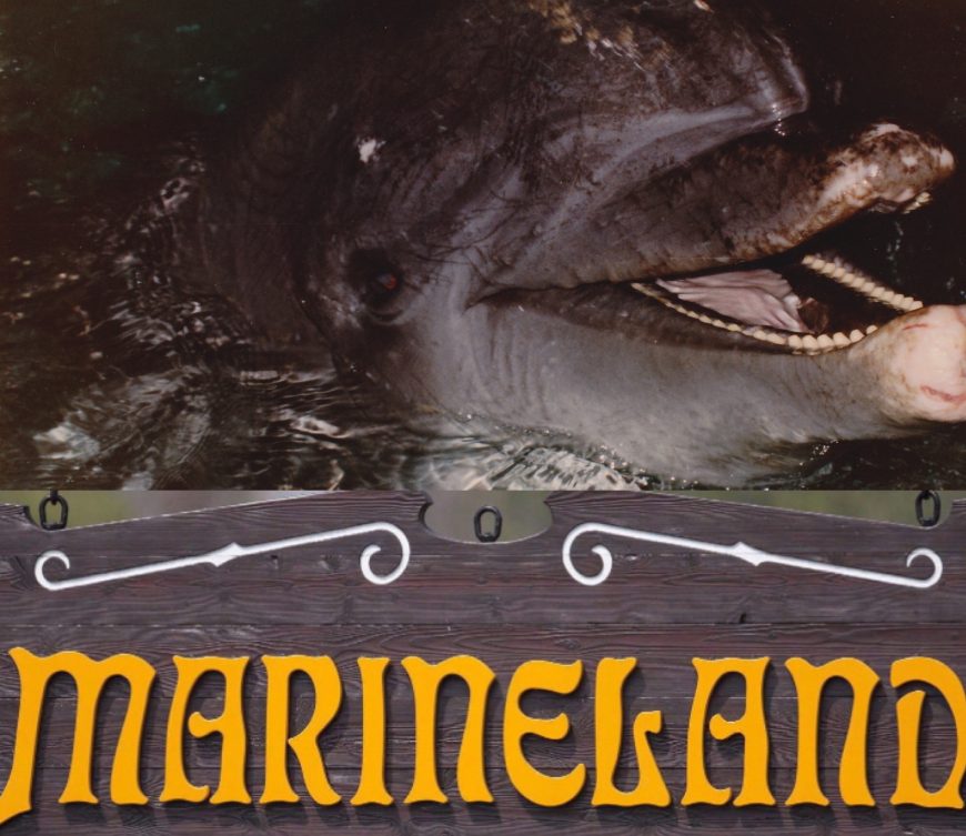 Duke; Marineland Canada